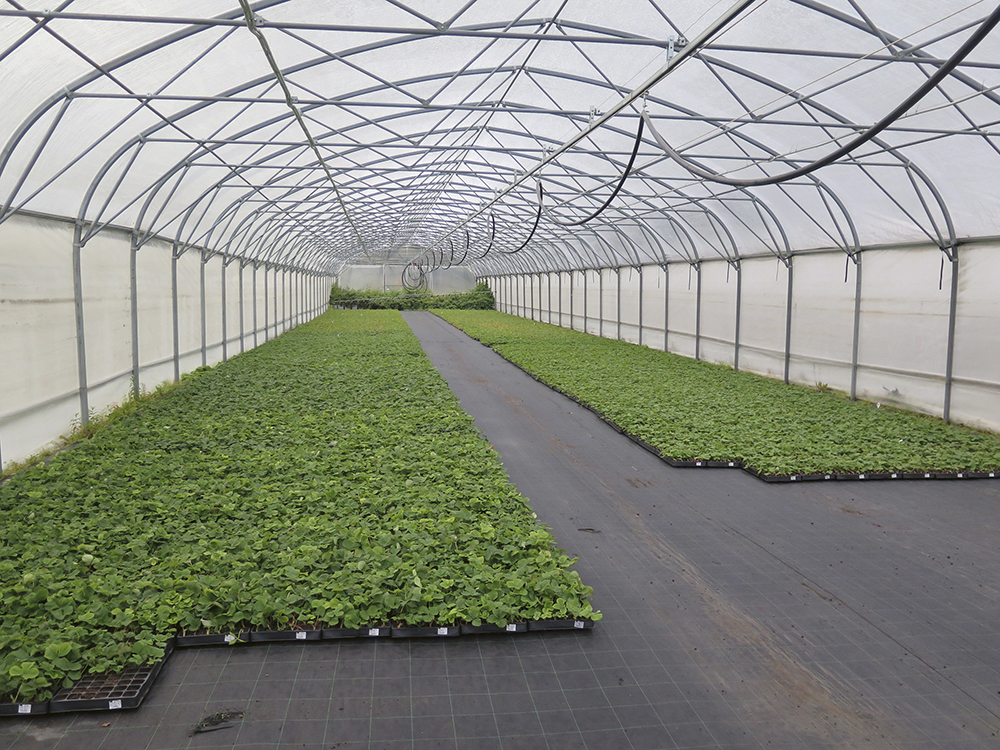 03_peuraniemi-amv_nettiin