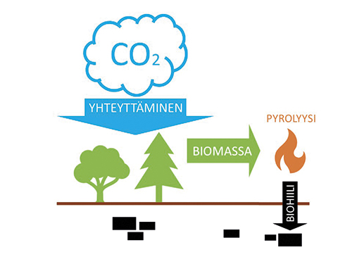 BIOHIILIKAAVIO1 nettiin