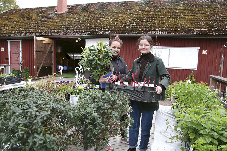 karppinen_ja_hellberg