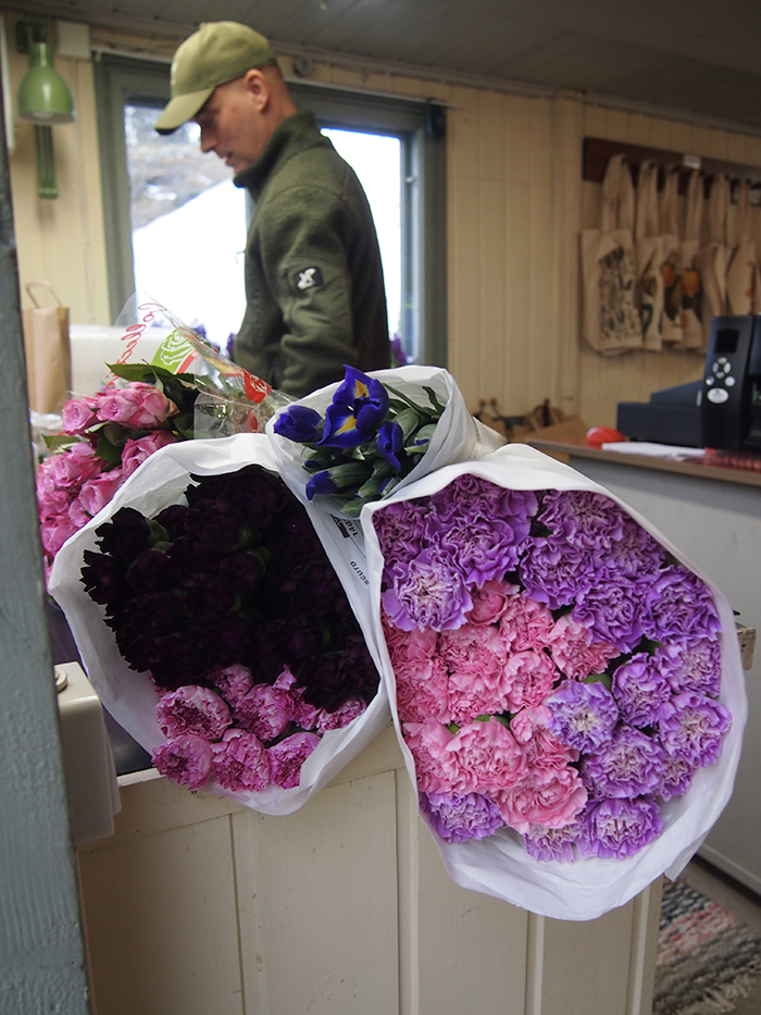 olympus-digital-camera-100