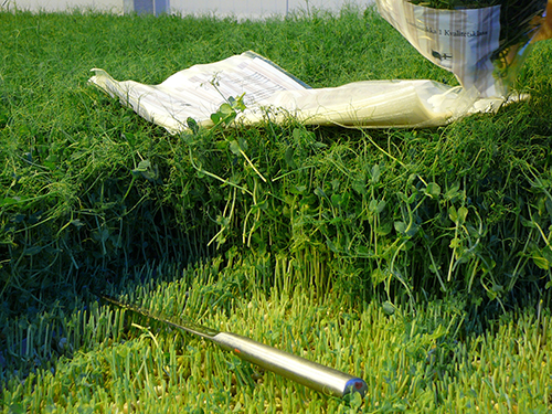 herneenversot_leikkaus_-_1