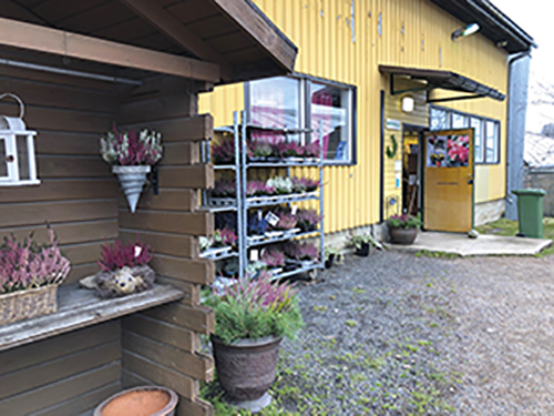 julkisivu