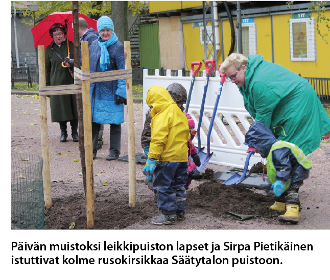 rusokirsikanistutus